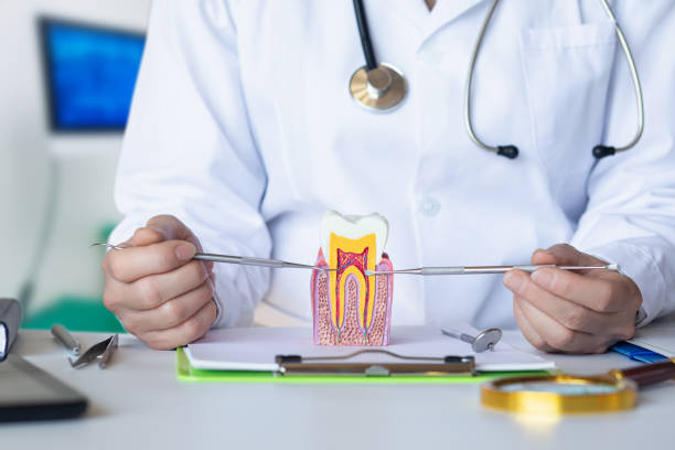 Best Emergency Dentist for Special Needs Patients in Broad Creek, NC